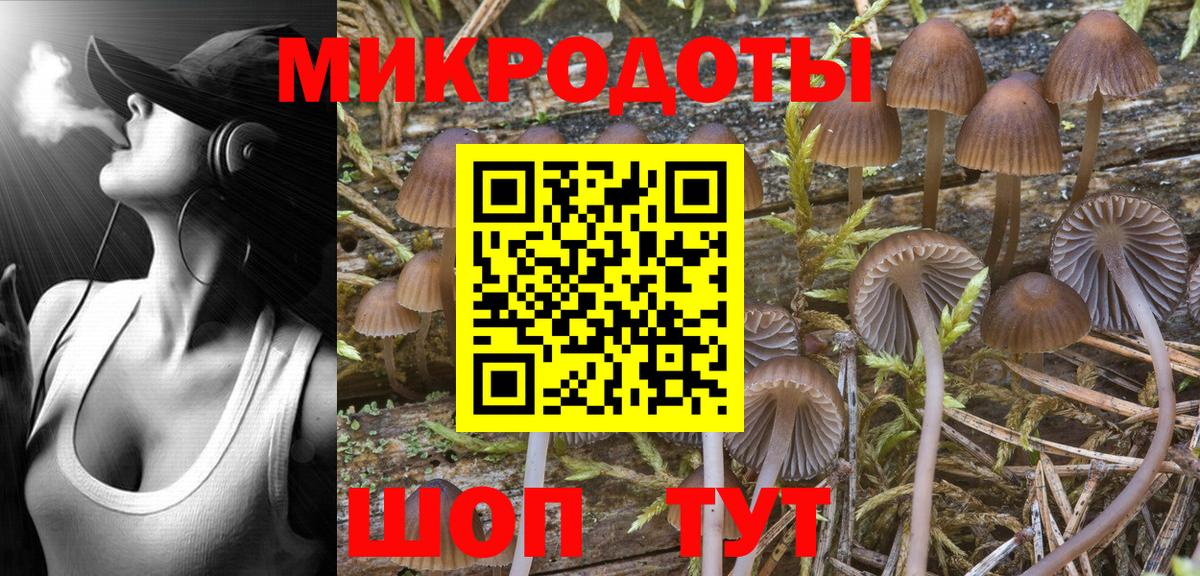 Псилоцибиновые грибы Magic Shrooms Алексин