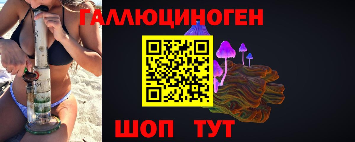 наркота  Вход с VPN  Алексин  Псилоцибиновые грибы Psilocybe 